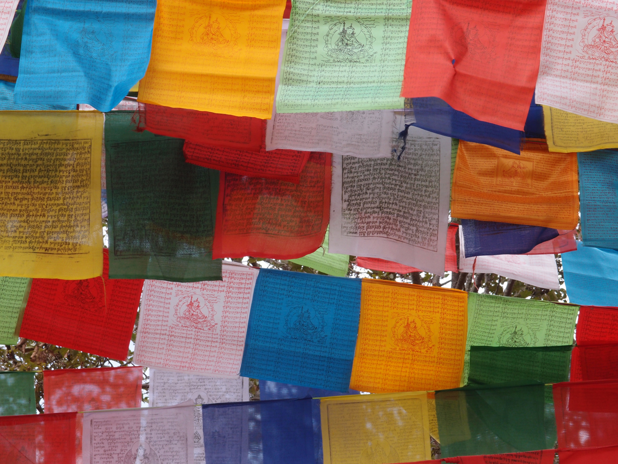 2018-01-16 12 Uhr - Im Shivapuri Nagarjun National Park (Nagi Gumba) (Foto) 